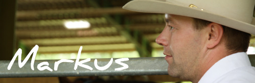 Bannerbild